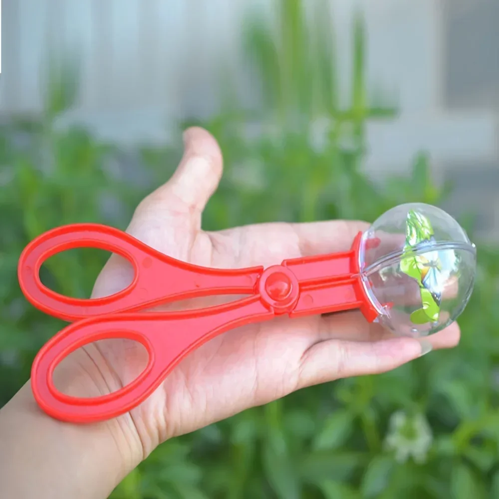 Colorful Large Bead Bug Catchi - Outdoor Adventure For Kids ulasan dan harga