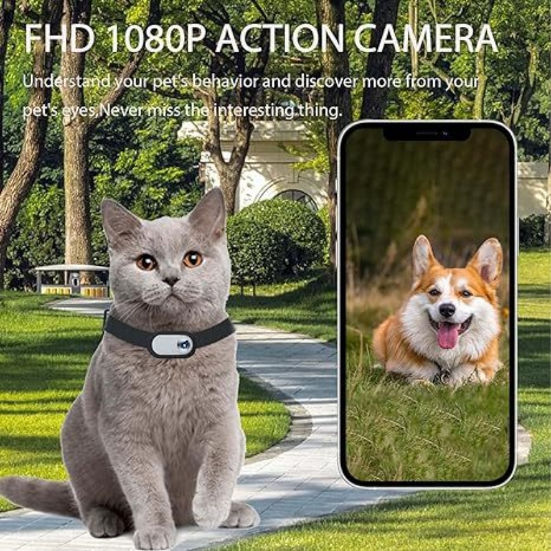 Pet Collar Camera-Waterproof H - Outdoor Adventure Video ulasan dan harga